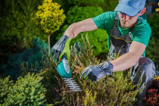 landscaping services St. Robert